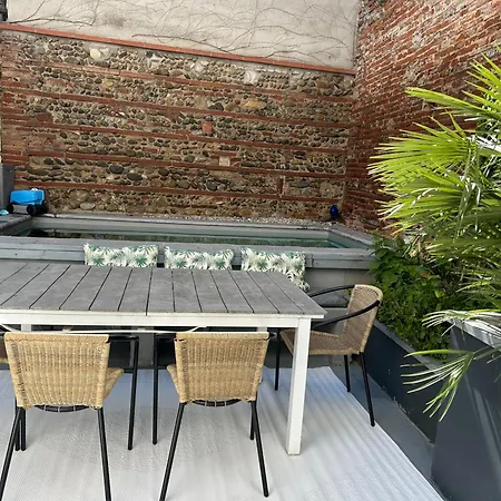 Maison Piscine Centre * Toulouse