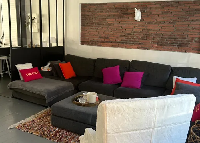 Maison Piscine Centre Tuluza