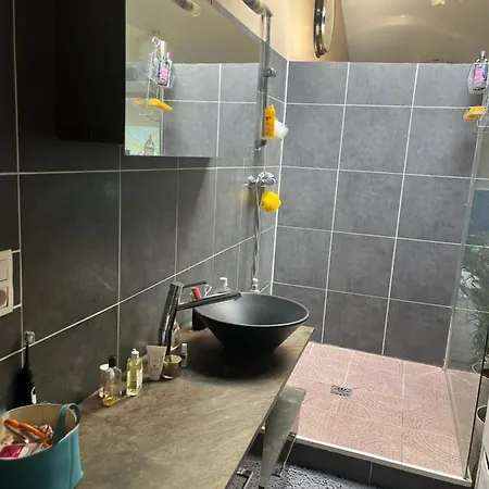 Maison Piscine Centre * Toulouse